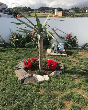 Prázdninový dům Joaninha's House *