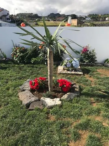 Vakantiehuis Joaninha's House *